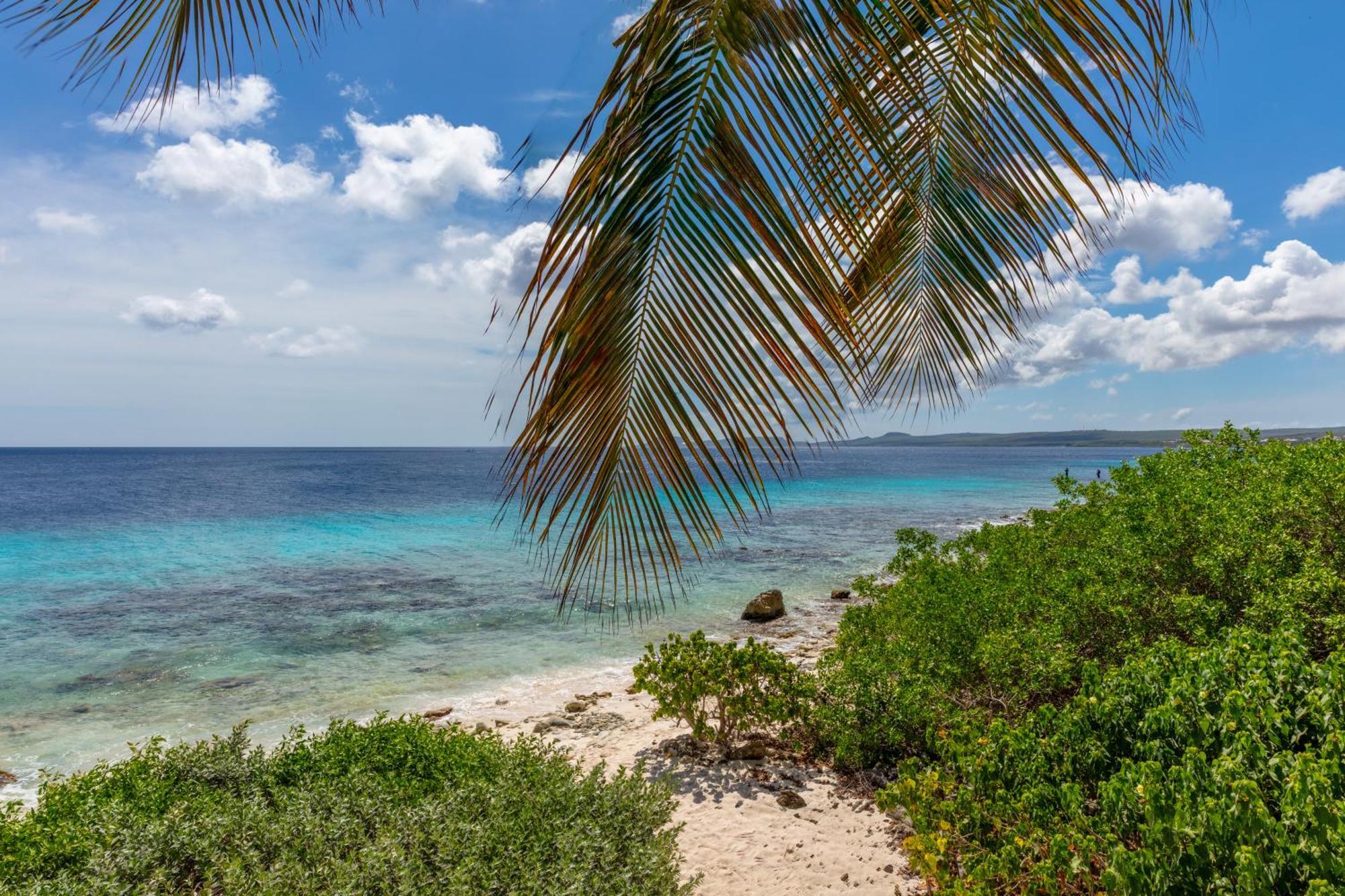 One Ocean Boutique Apartments & Suites Bonaire クラレンダイク エクステリア 写真